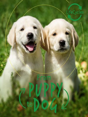 cover image of Lifecycles--Pup to Dog